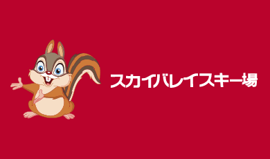 スカイバレイスキー場